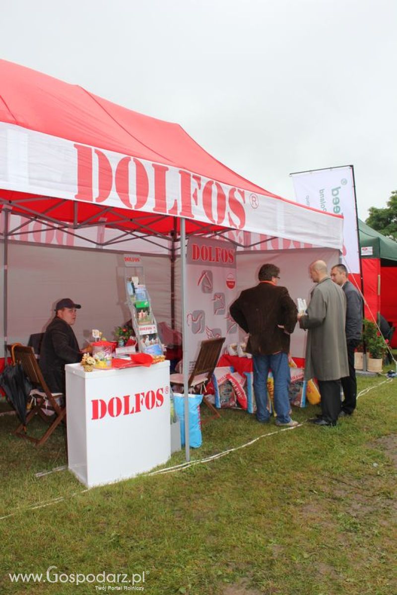 Międzynarodowe Targi Rolno-Przemysłowe AGRO-TECH w Minikowie