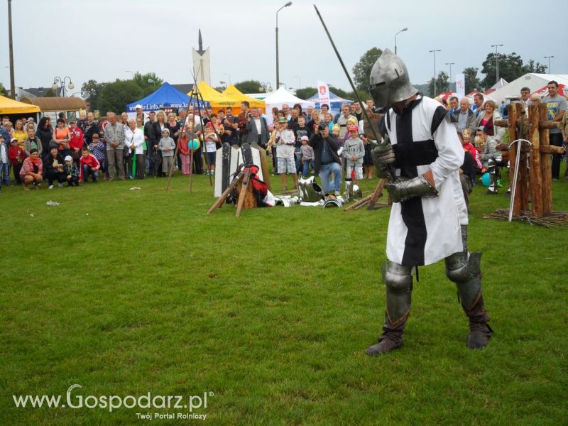 II Festiwal Wieprzowiny w Kwidzyniu