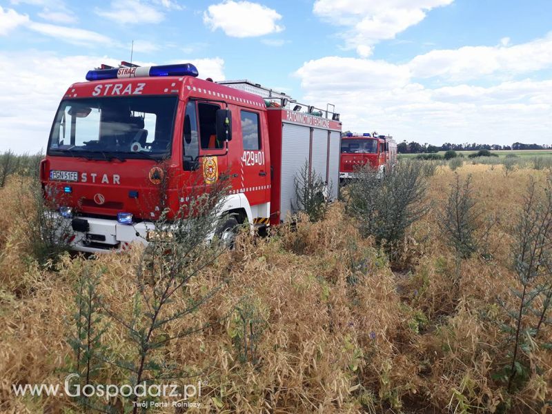 Pożar opryskiwacza w Wielkopolsce