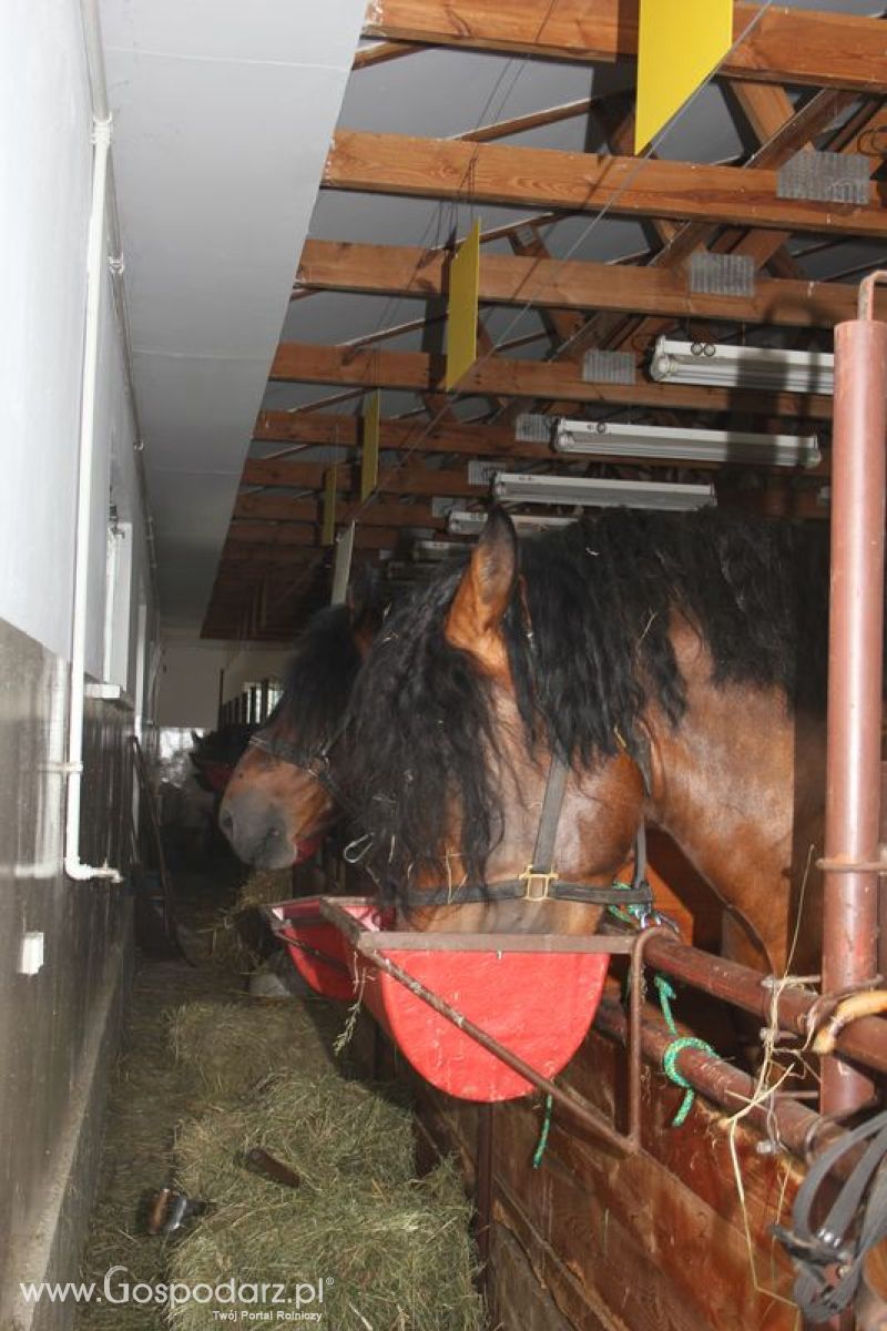 Wielkopolskie Targi Rolnicze „Sielinko 2011”  - Sobota
