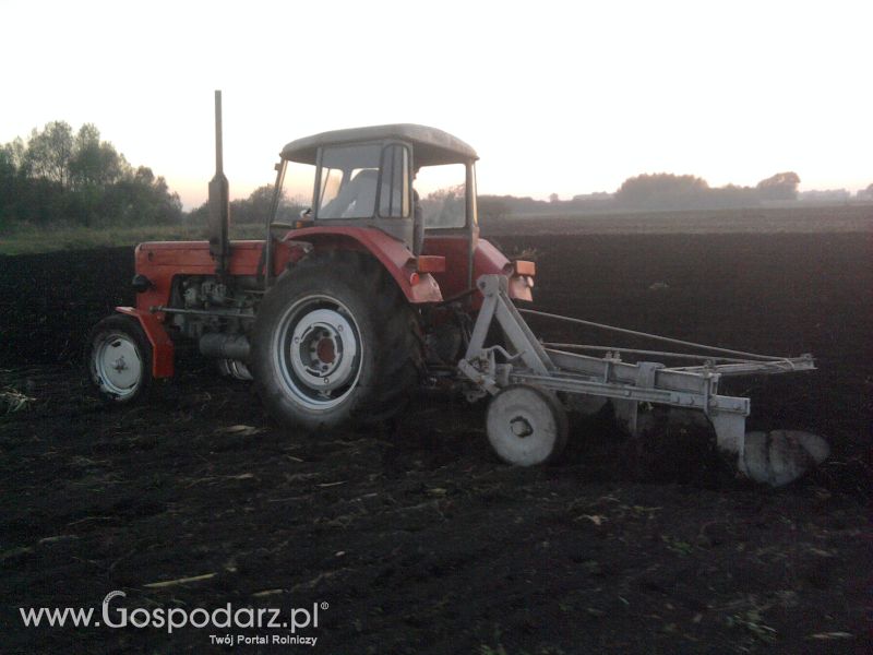 akcja  orka 2011 C-360 po kukurydzy 