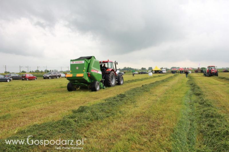 Pokaz maszyn zielonkowych w Pierzyskach k/Gniezna