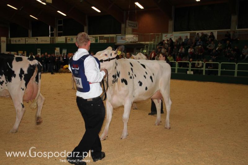 Wystawa  Blickpunkt Rind 2013 w miejscowości Paaren/Glien (Niemcy)