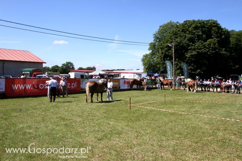 Wystawa zwierząt w Szepietowie