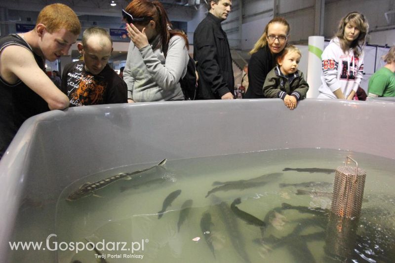 XXVI Krajowa Wystawa Zwierząt Hodowlanych - sobota i niedziela