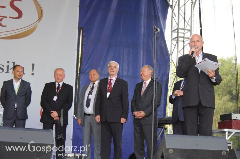 Świętomięs Polski w Chorzowie