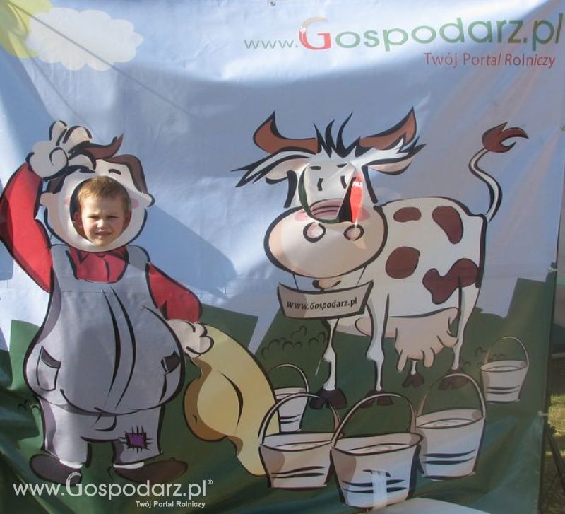 Agro Show 2011 Bednary Zdjęcie z krówką Niedziela