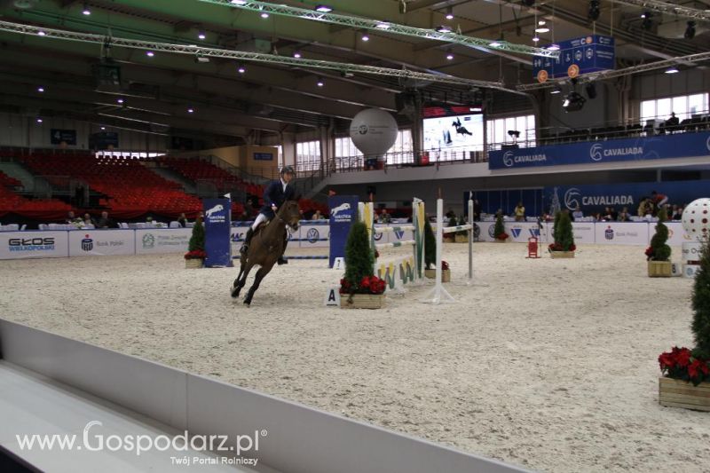 CAVALIADA 2013 w Poznaniu