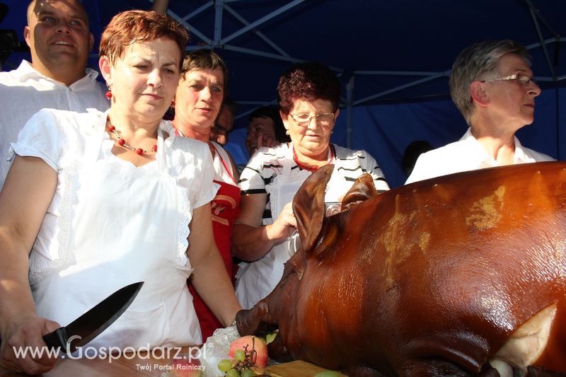 Ogólnopolski Festiwal Wieprzowiny w Łasinie
