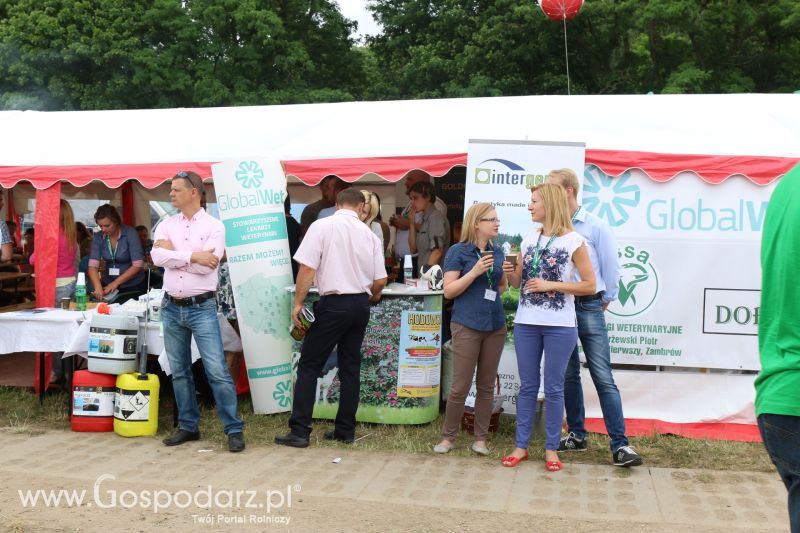 Regionalna Wystawa Zwierząt Hodowlanych i Dni z Doradztwem Rolniczym w Szepietowie 2017 (niedziela)