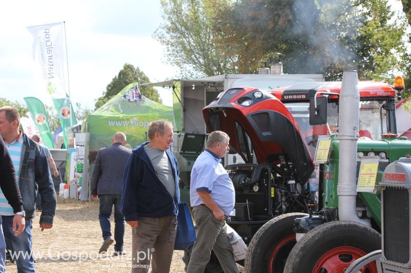 Targi AGRO-FARMA 2015 w Kowalewie Pomorskim - sobota