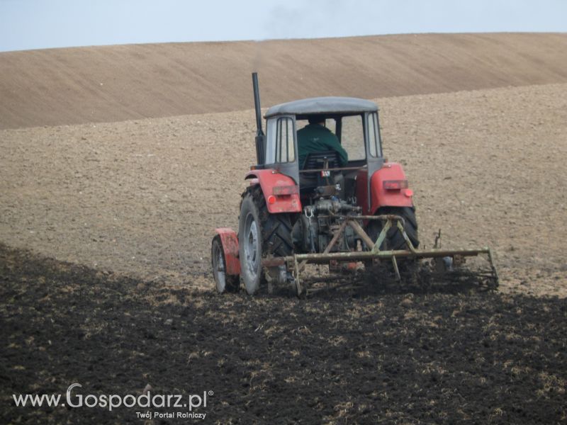 Wiosenne Przesiewki 2012 