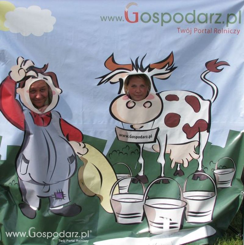 Wielkopolskie Targi Rolnicze „Sielinko 2011”  - Krówka Gospodarza
