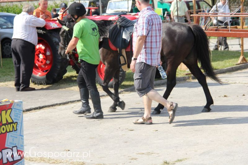 Zielone AGRO SHOW – POLSKIE ZBOŻA 2014 w Sielinku - sobota