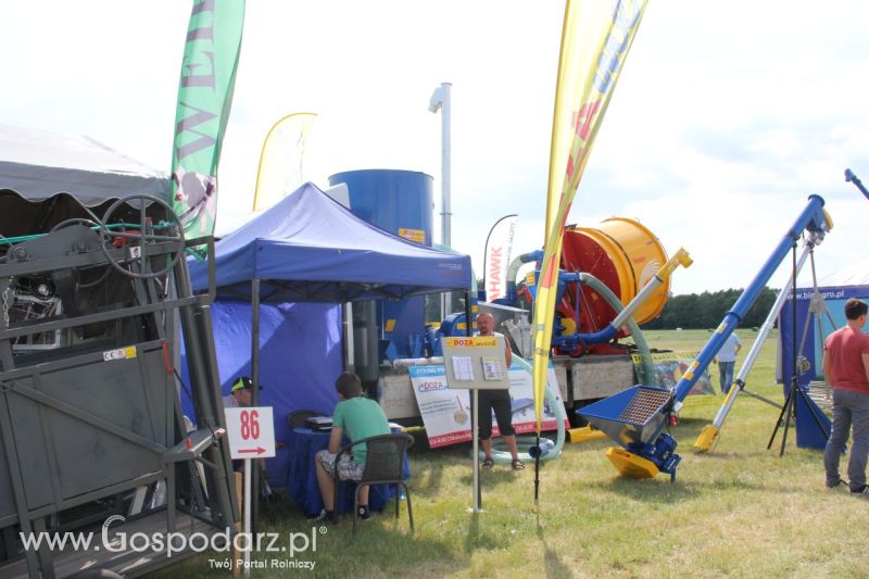Zielone AGRO SHOW – POLSKIE ZBOŻA 2014 w Sielinku - sobota