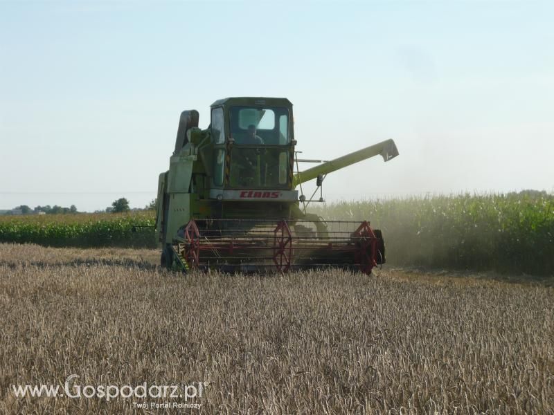 Żniwa 2011