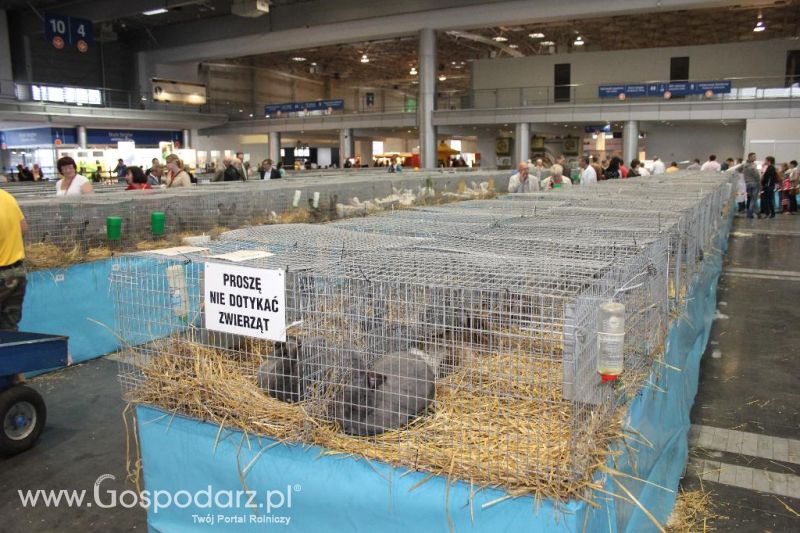 XXVI Krajowa Wystawa Zwierząt Hodowlanych - piątek