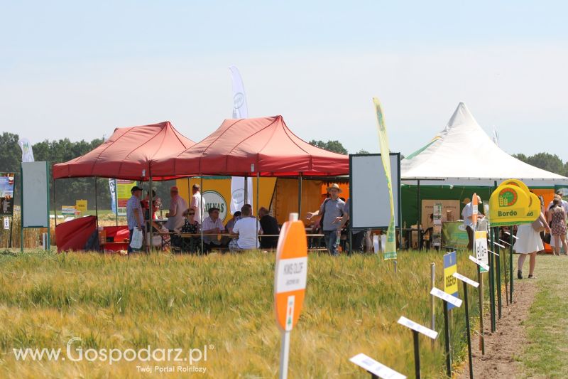 Targi Agro -Tech w Minikowie 2015