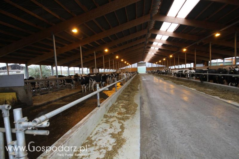 Wyjazd studyjny na farmę Langengrassau w Niemczech