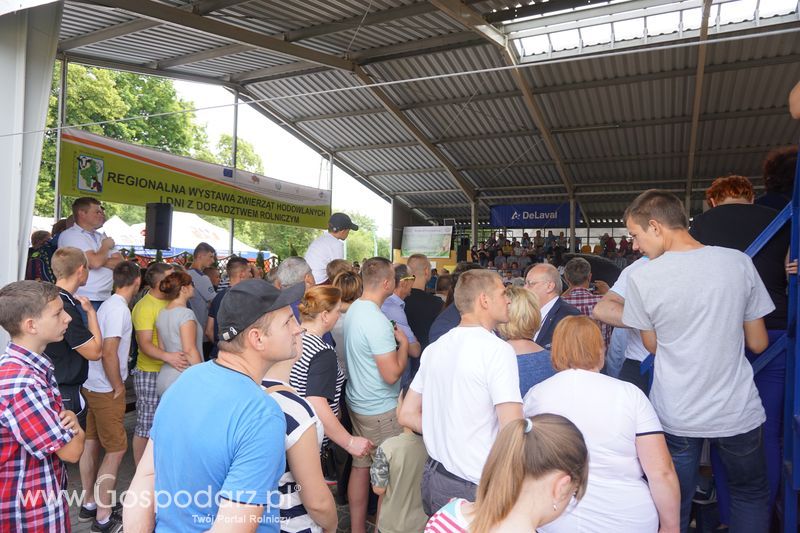 Wystawa zwierząt w Szepietowie