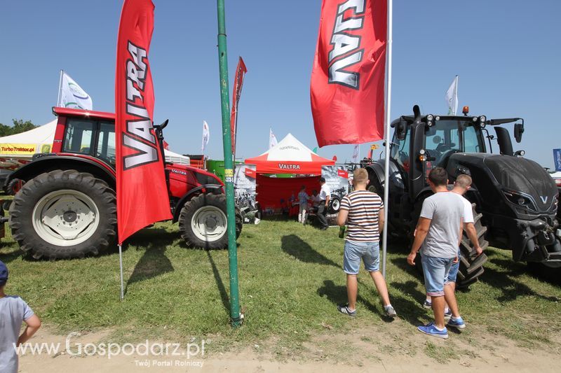  Regionalna Wystawa Zwierząt Hodowlanych W Szepietowie 2016 z Gospodarz.pl