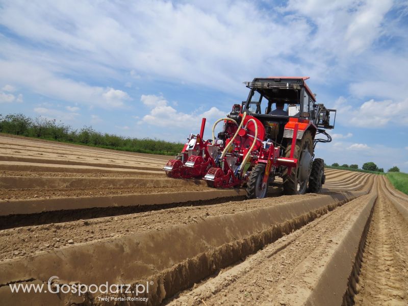 Agregat AUR2 i siewnik pneumatyczny MAX PNEUMATIC  w pracy