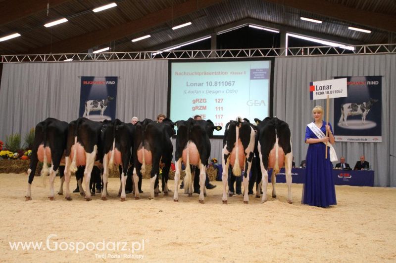 Wystawa  Blickpunkt Rind 2013 w miejscowości Paaren/Glien (Niemcy)