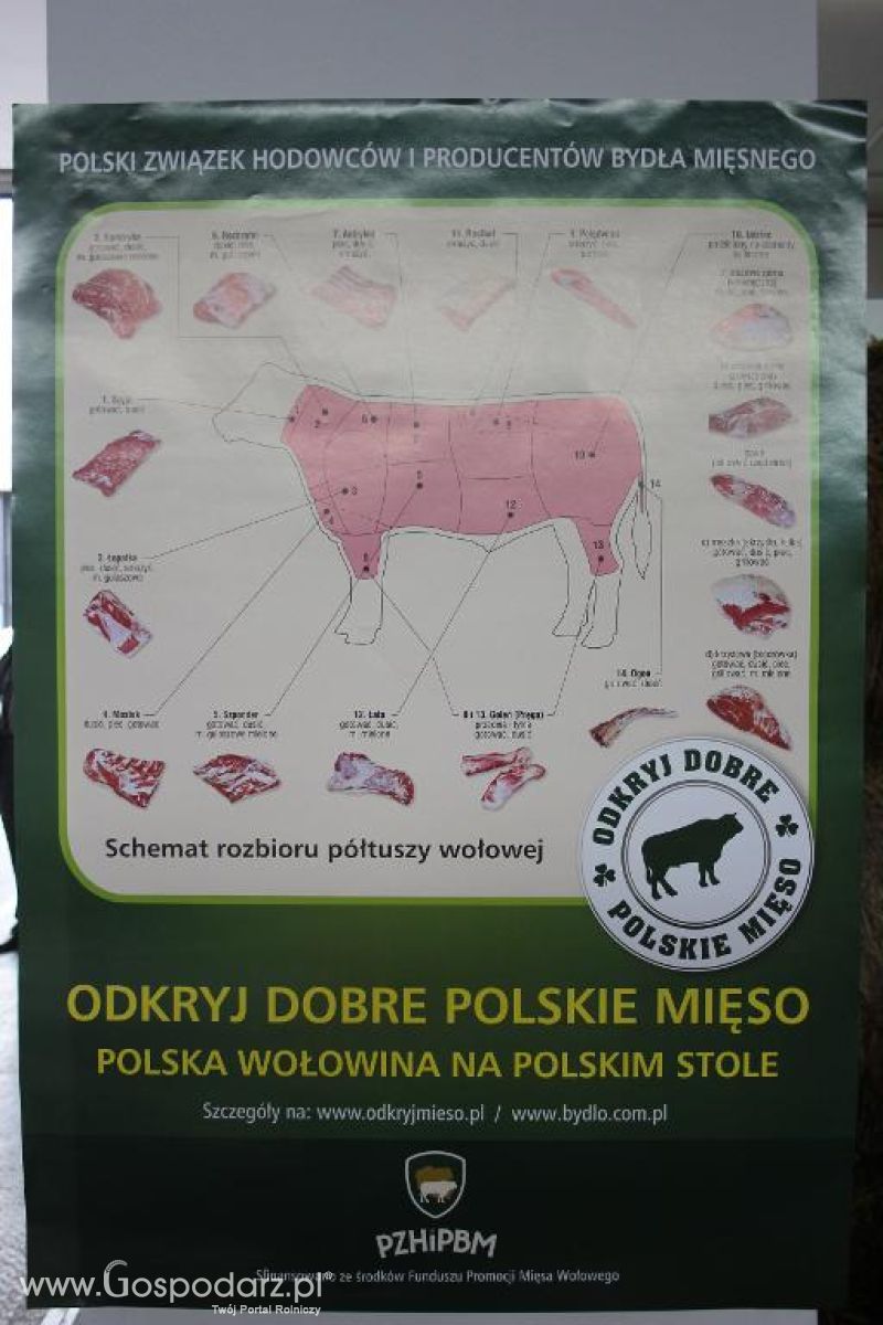 XXVI Krajowa Wystawa Zwierząt Hodowlanych - sobota i niedziela