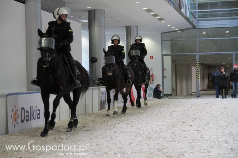 CAVALIADA 2013 w Poznaniu