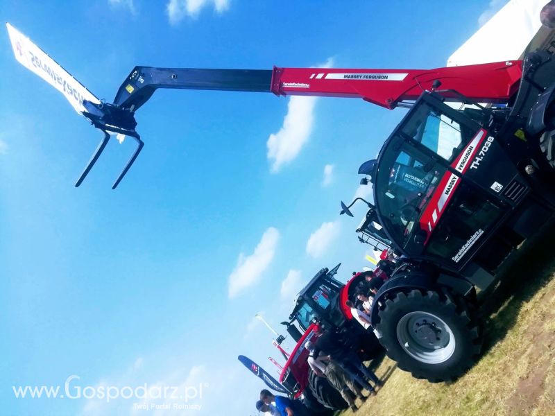 Opologra 2019
