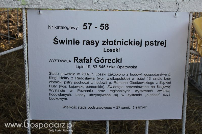 Targi Rolno-Ogrodnicze AGROMARSZ Marszew 2011
