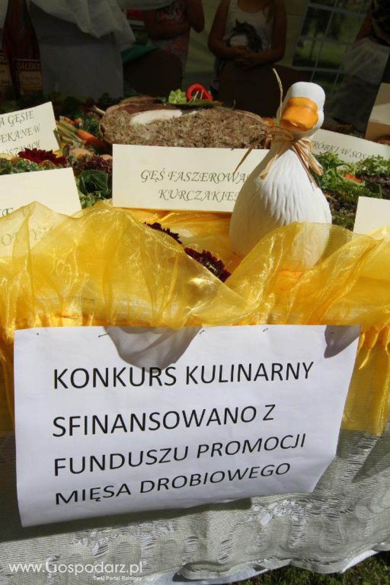 X Święto Gęsi w Biskupcu