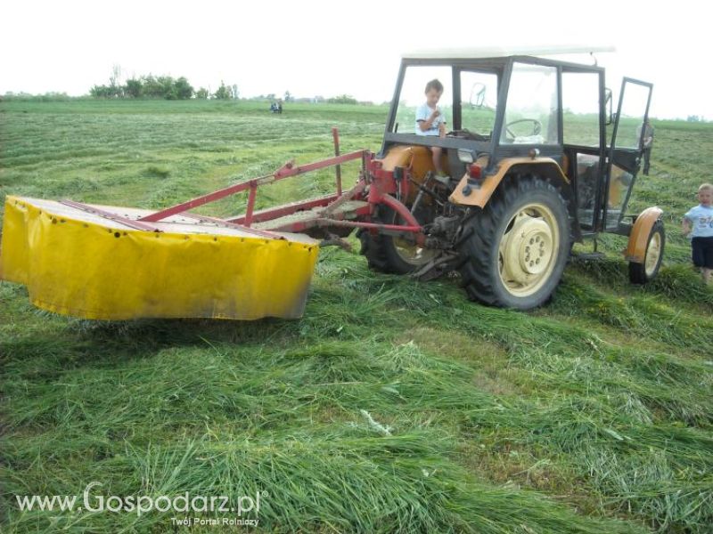 pierwsze sianokosy w roli głownej ursus c330M...