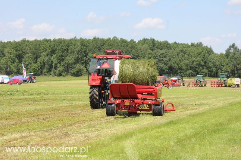 Szepietowo 2012 XIX Regionalna Wystawa Zwierząt Hodowlanych, I Ogólnopolska Wystawa Drobiu oraz Dni z Doradztwem Rolniczym