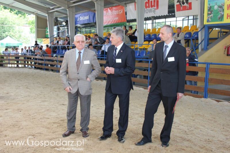 Bydło - Szepietowo 2012 XIX Regionalna Wystawa Zwierząt Hodowlanych