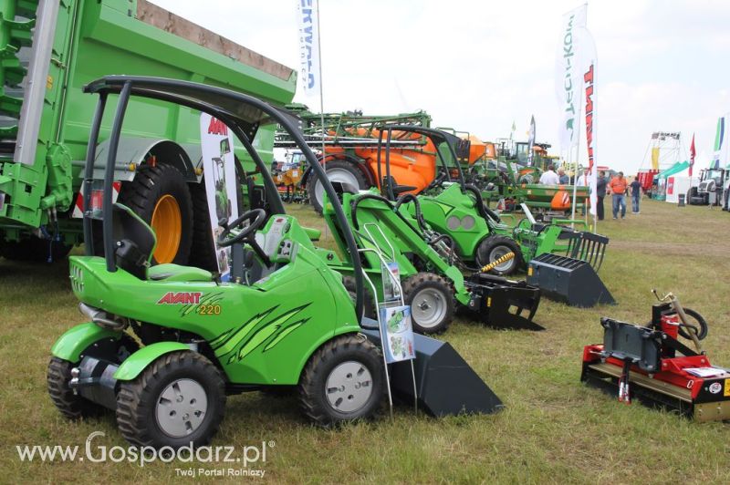 Serafin na Opolagra 2012