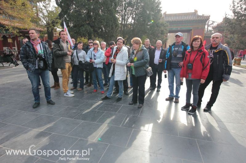 Gospodarz.pl w Chinach