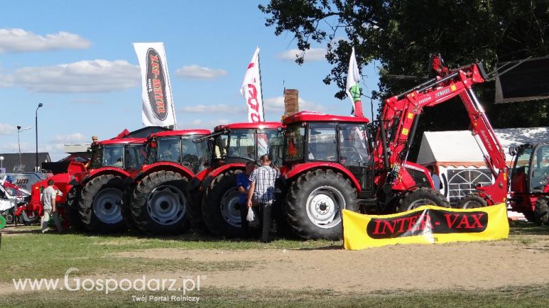 XVII Pałuckie Targi Rolne i XI Pałucka Wystawa Zwierząt Hodowlanych w Żninie