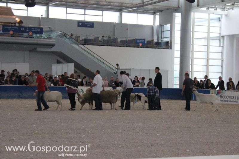 XXVI Krajowa Wystawa Zwierząt Hodowlanych - sobota i niedziela