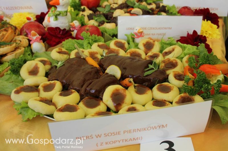 IX Święto Gęsi w Biskupcu