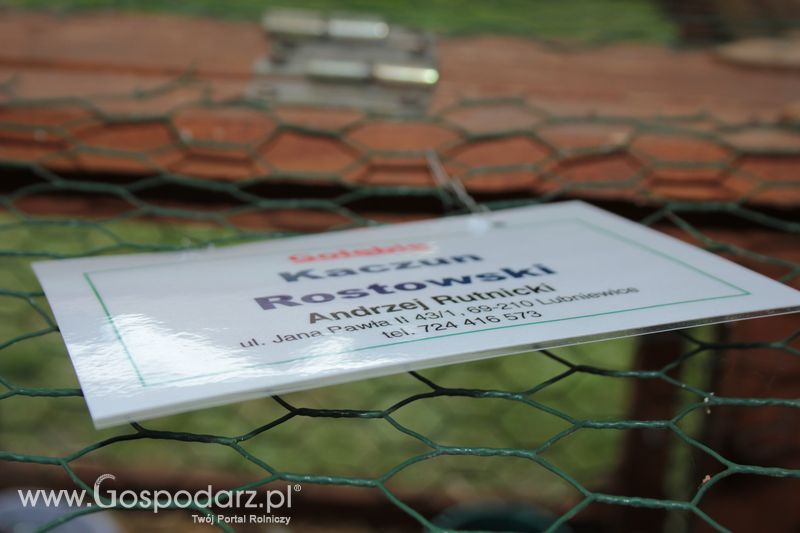 XX Targi Rolnicze Lubniewice - zwierzęta
