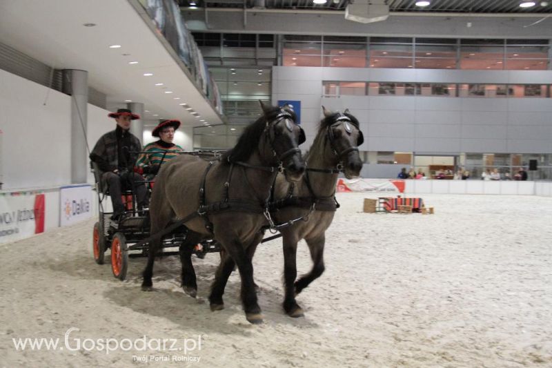 CAVALIADA 2013 w Poznaniu