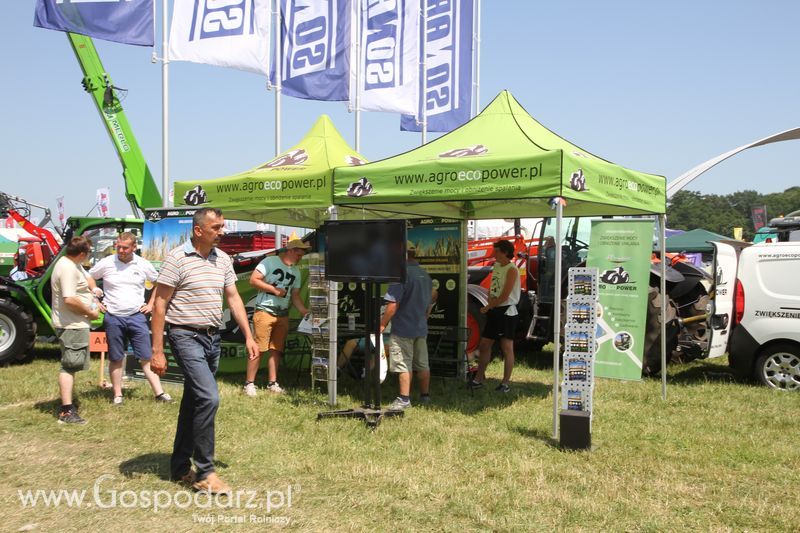  Regionalna Wystawa Zwierząt Hodowlanych W Szepietowie 2016 z Gospodarz.pl