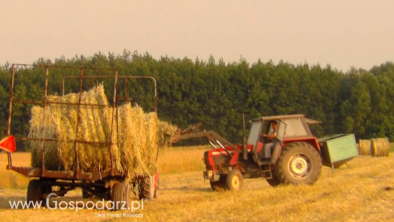 Zbiór Słomy 2013