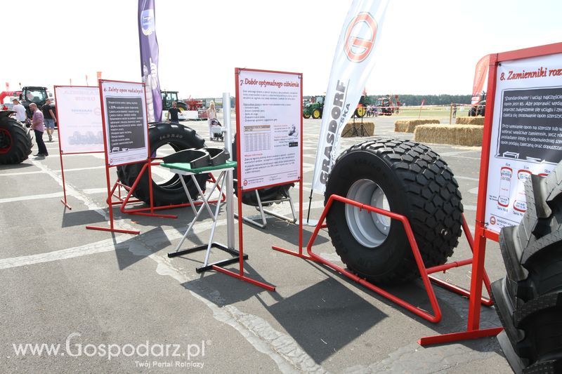 Grasdorf na OPOLAGRZE 2016