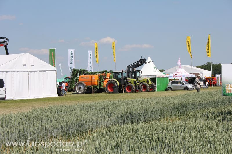 Polskie Zboża 2011 - Sobota