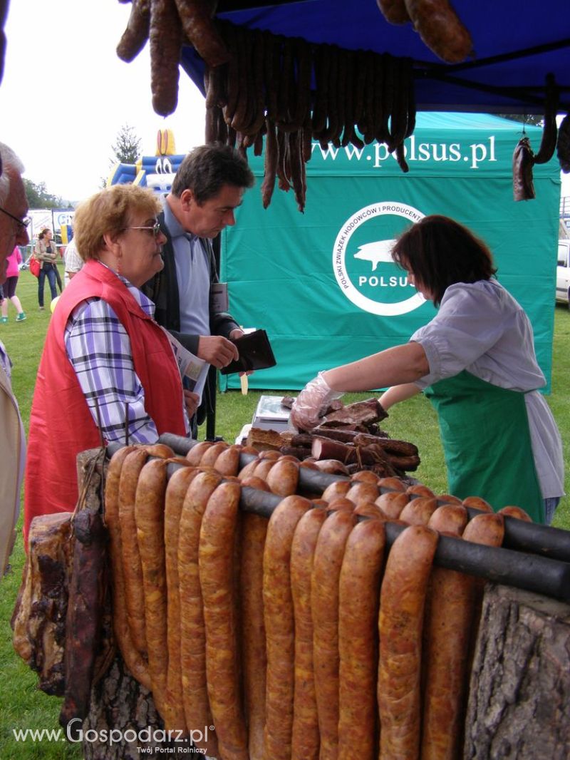 II Festiwal Wieprzowiny w Kwidzyniu