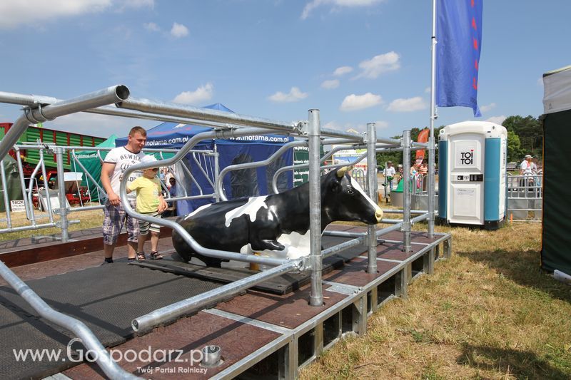OPOLAGRA 2015 w Kamieniu Śląskim