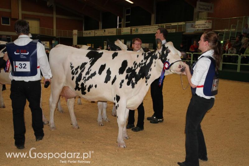Wystawa  Blickpunkt Rind 2013 w miejscowości Paaren/Glien (Niemcy)
