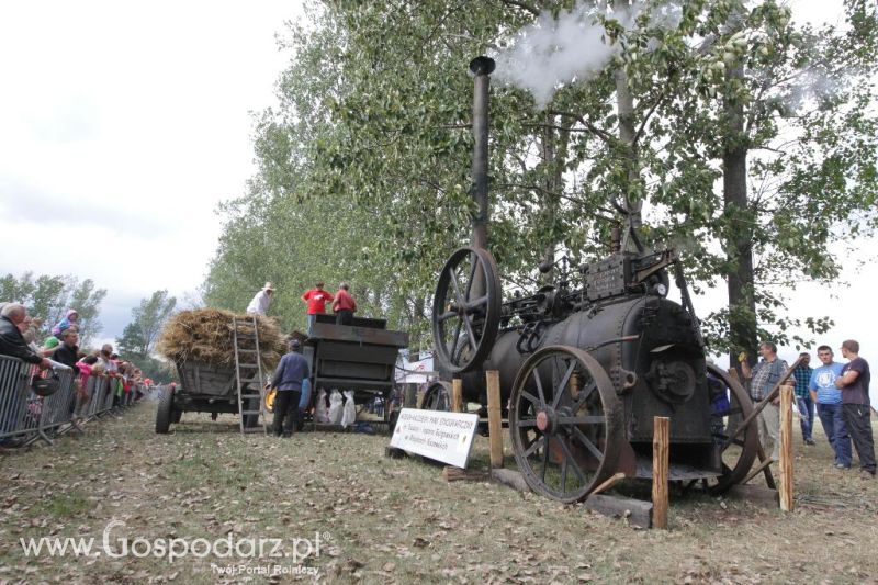 XIII Festiwal Starych Ciągników i Maszyn Rolniczych w Wilkowicach cz.1